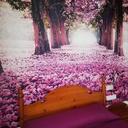 Hotel Poniente